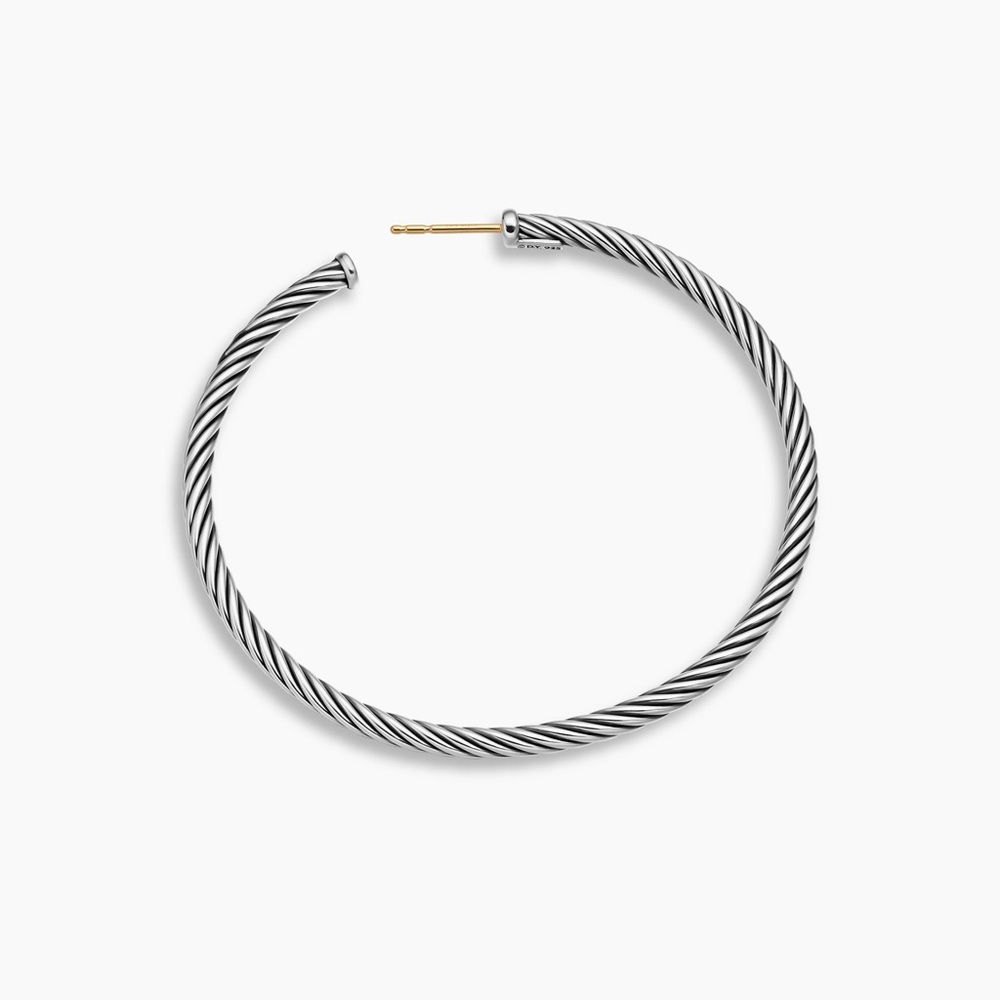David Yurman Twisted Silver Hoop Earrings - Picture 5 of 9